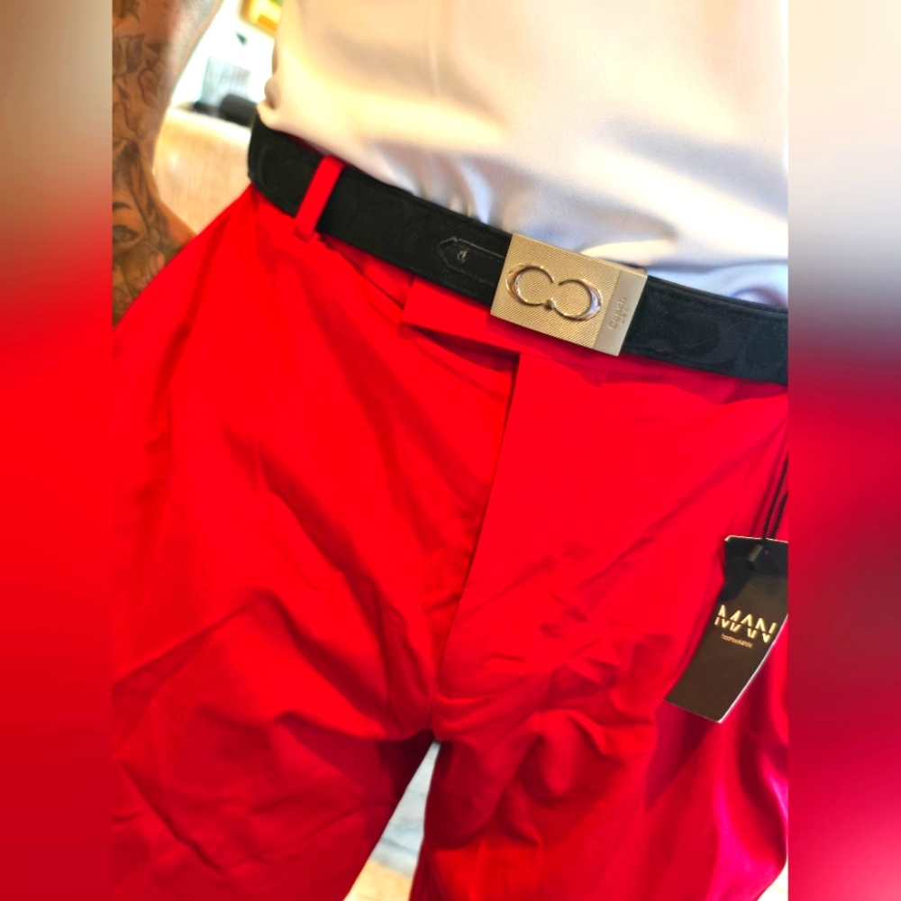SOLD Coach dressing belt - Picture 1 of 15